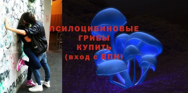 a pvp Алексин
