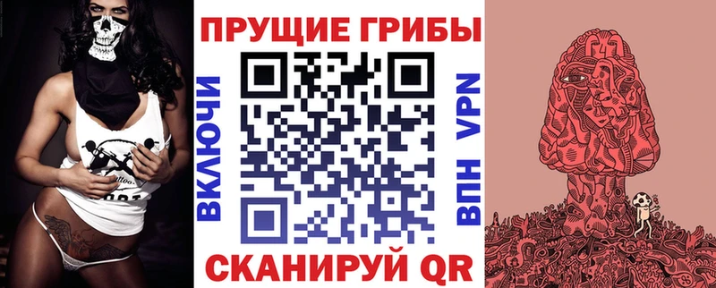 даркнет официальный сайт  Клинцы  Галлюциногенные грибы мицелий 