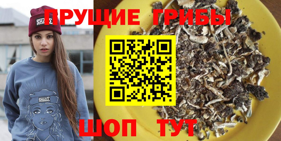Галлюциногенные грибы Psilocybine cubensis  Вход с VPN  Клинцы 