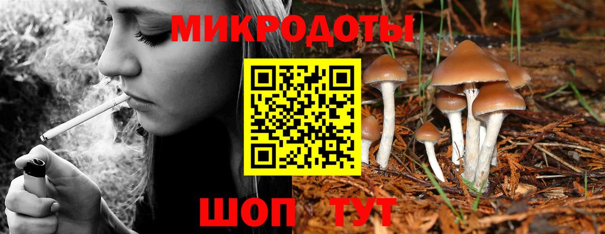 Псилоцибиновые грибы ЛСД Клинцы